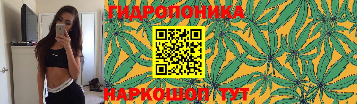 Бошки марихуана ГИДРОПОН Новокубанск
